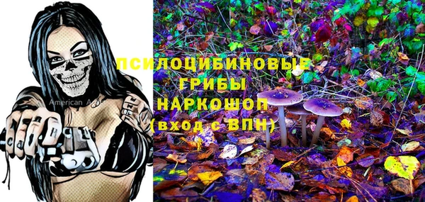 дмт Надым