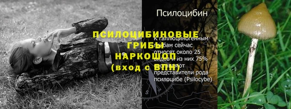 ешки Алексеевка