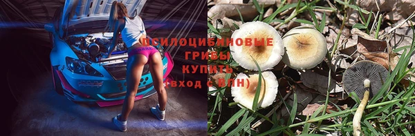 ешки Алексеевка