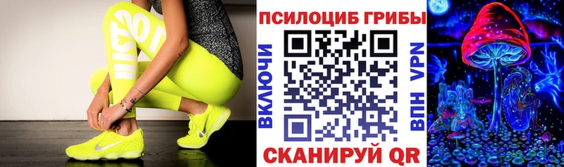 Псилоцибиновые грибы GOLDEN TEACHER  Шацк 